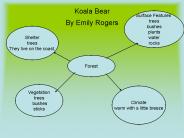 Koala Bear By Emily Rogers
