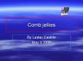 Comb jellies PowerPoint PPT Presentation