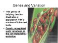Genes and Variation PowerPoint PPT Presentation