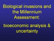 Biological invasions and the Millennium Assessment: