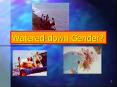 Watereddown Gender PowerPoint PPT Presentation