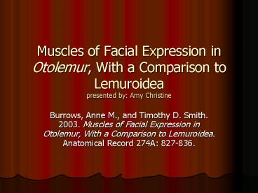Muscles of Facial Expression in Otolemur, With a Comparison to Lemuroidea presented by: Amy Christine