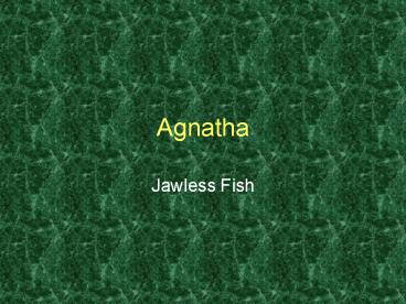 Agnatha