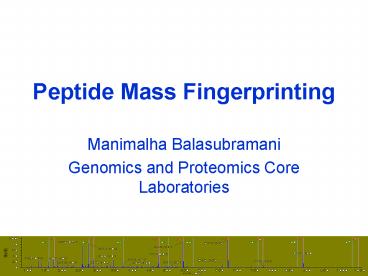 Peptide Mass Fingerprinting for Protein identification