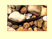 Stimulate trigger interneuron