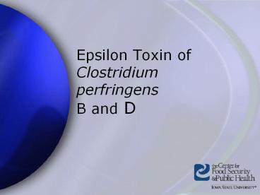 Epsilon%20Toxin%20of%20Clostridium%20perfringens%20B%20and%20D