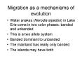 Migration as a mechanisms of evolution PowerPoint PPT Presentation