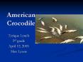 American Crocodile PowerPoint PPT Presentation