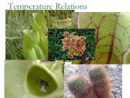 Temperature Relations