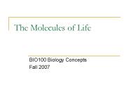 The Molecules of Life