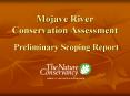 Mojave River Conservation Assessment  Preliminary Scoping Report PowerPoint PPT Presentation