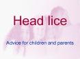 Head lice PowerPoint PPT Presentation