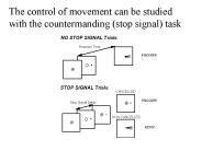 The control of movement can be studied