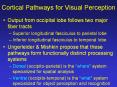 Cortical Pathways for Visual Perception PowerPoint PPT Presentation