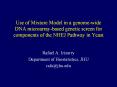Use%20of%20Mixture%20Model%20in%20a%20genome-wide%20DNA%20microarray-based%20genetic%20screen%20for%20components%20of%20the%20NHEJ%20Pathway%20in%20Yeast PowerPoint PPT Presentation