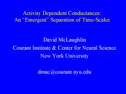 Activity Dependent Conductances: An 