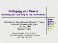 Pedagogy and Praxis Teaching and Learning in the Professions PowerPoint PPT Presentation