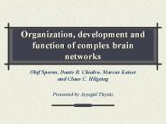 Organization, development and function of complex brain networks
