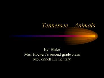 Tennessee Animals