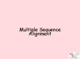 Multiple Sequence Alignment PowerPoint PPT Presentation