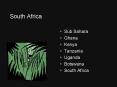 South Africa PowerPoint PPT Presentation