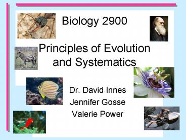 Biology 2900 Principles of Evolution and Systematics