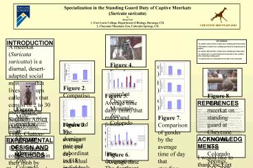 Specialization in the Standing Guard Duty of Captive Meerkats