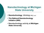 Nanotechnology at Michigan State University