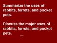 Summarize the uses of rabbits, ferrets, and pocket pets' PowerPoint PPT Presentation