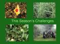 This Seasons Challenges PowerPoint PPT Presentation