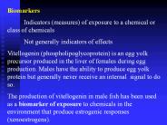 Preliminary Year 2000 Gene Expression Findings