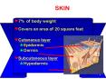 SKIN PowerPoint PPT Presentation