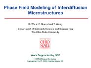 Phase Field Modeling of Interdiffusion Microstructures
