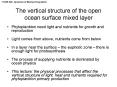 The vertical structure of the open ocean surface mixed layer PowerPoint PPT Presentation