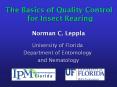 The Basics of Quality Control for Insect Rearing PowerPoint PPT Presentation