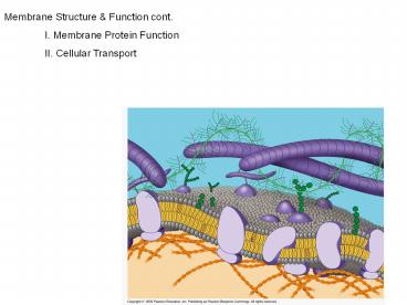 presentation player overlay