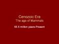 Cenozoic Era The age of Mammals PowerPoint PPT Presentation
