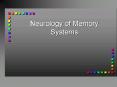 Neurology of Memory Systems PowerPoint PPT Presentation