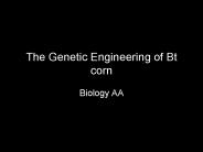 The Genetic Engineering of Bt corn
