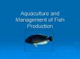 Aquaculture and Management of Fish Production PowerPoint PPT Presentation