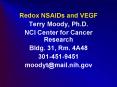 Redox NSAIDs and VEGF PowerPoint PPT Presentation