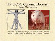 The UCSC Genome Browser