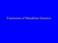 Extensions of Mendelian Genetics PowerPoint PPT Presentation
