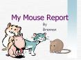 My Mouse Report PowerPoint PPT Presentation