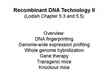 Recombinant DNA Technology II presentation | free to view