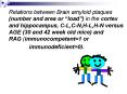 Relations between Brain amyloid plaques number and area or load in the cortex and hippocampus, CL,CN PowerPoint PPT Presentation