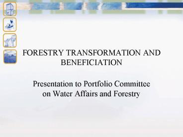 FORESTRY TRANSFORMATION AND BENEFICIATION