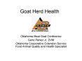Goat Herd Health PowerPoint PPT Presentation