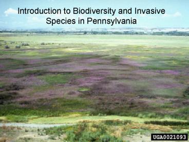 Introduction to Biodiversity and Invasive Species in Pennsylvania