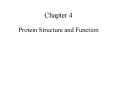 Protein Structure and Function PowerPoint PPT Presentation